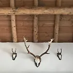 The Barn